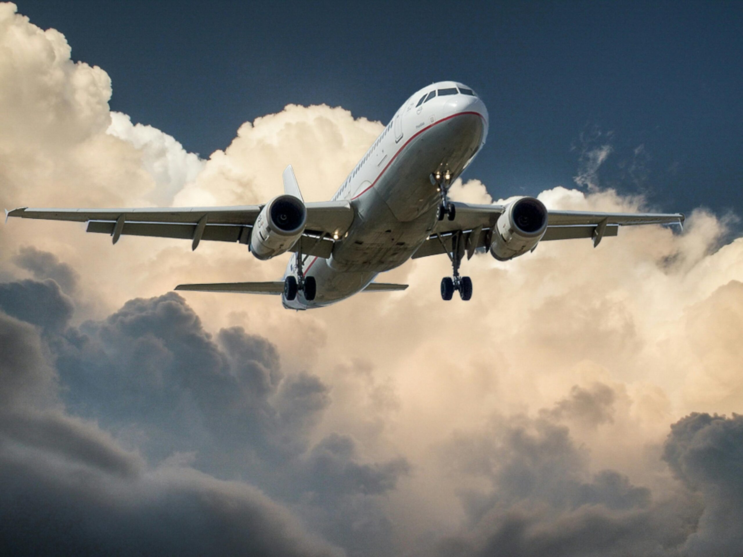 Avión incluido 
